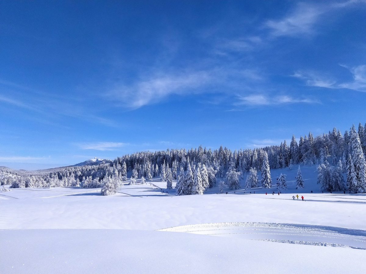 Nordic skiing - Pays de Gex Monts Jura Official website