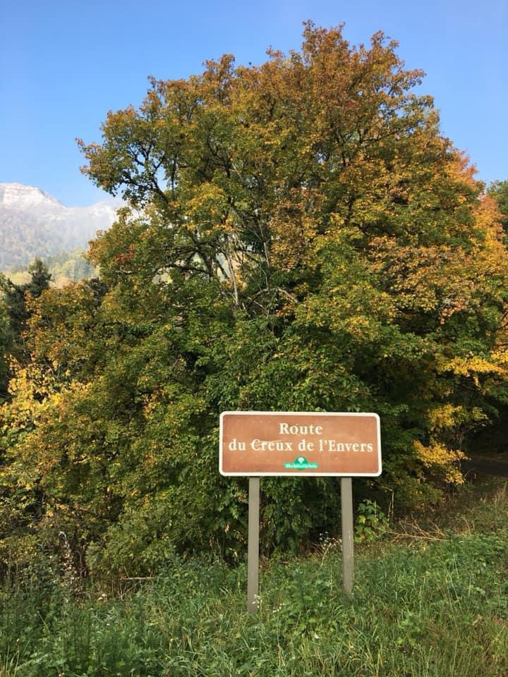 L'Ail des Ours au Creux de l'envers - Pays de Gex et Monts Jura