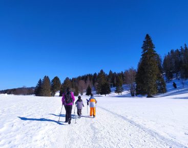 Taking a stroll at La Vattay: The Grouse