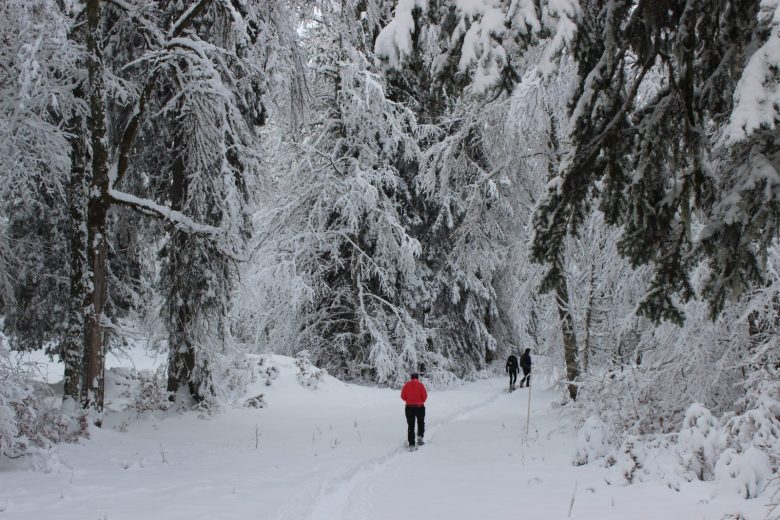 La Gelinotte snowshoe trail_Mijoux