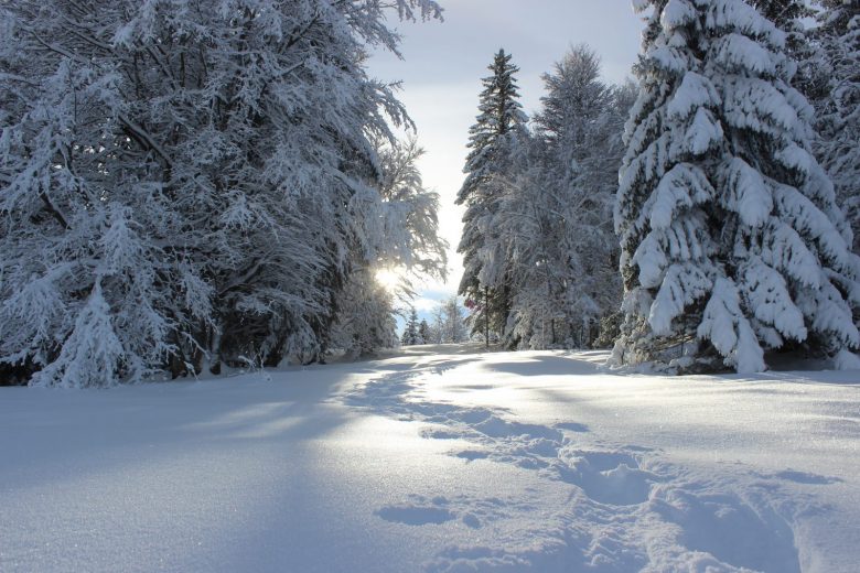 La Gelinotte snowshoe trail_Mijoux