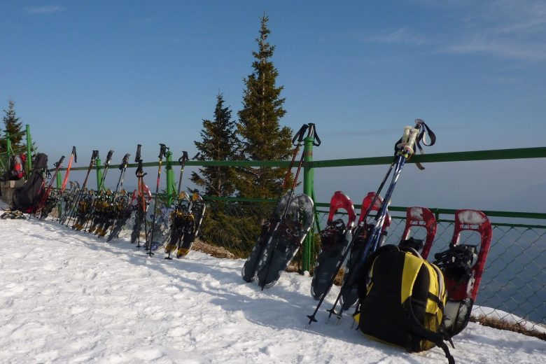 Snowshoe outing