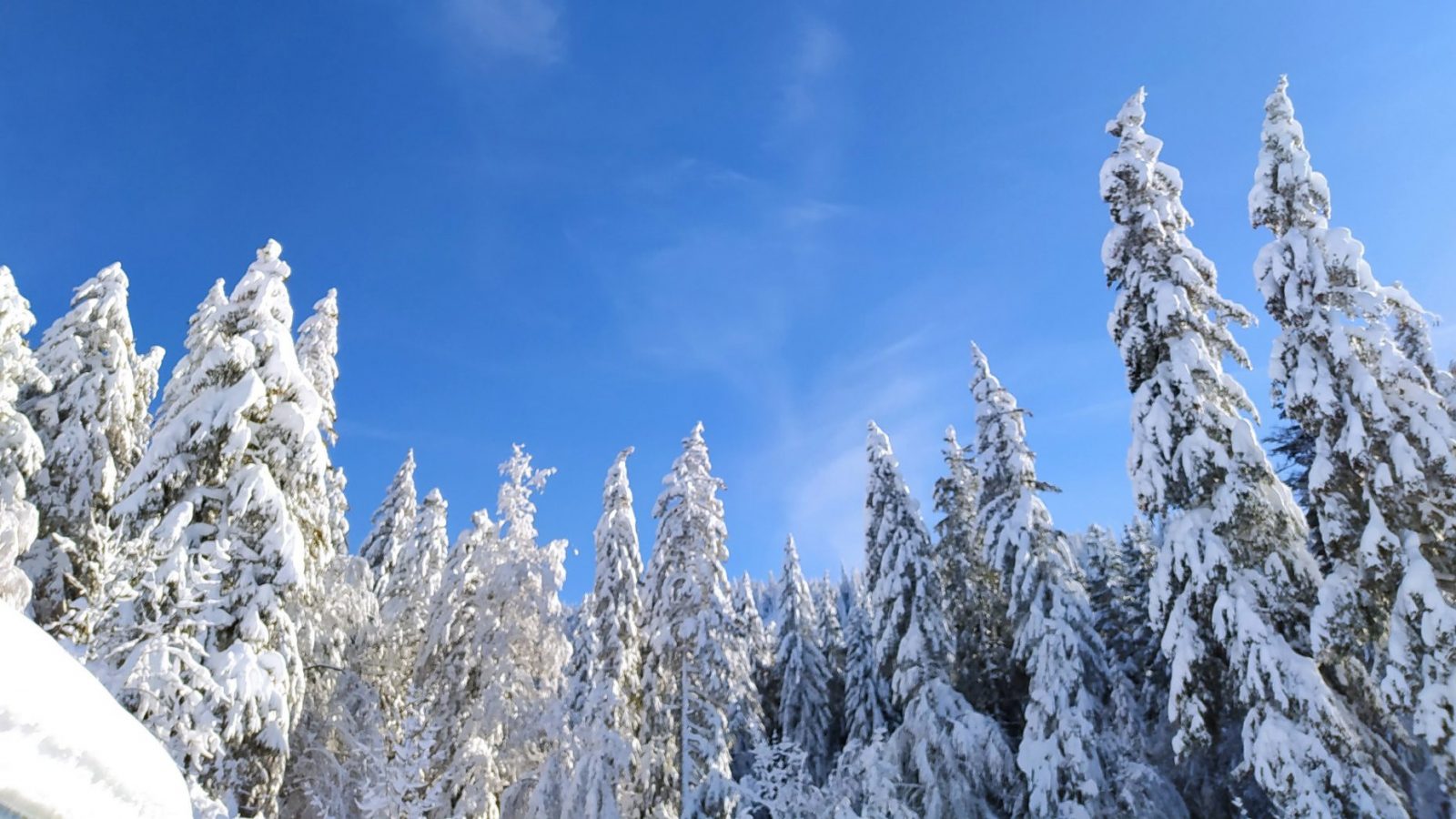 Elles ont testé pour vous : le ski nordique à la Vattay, et elles ont adoré !