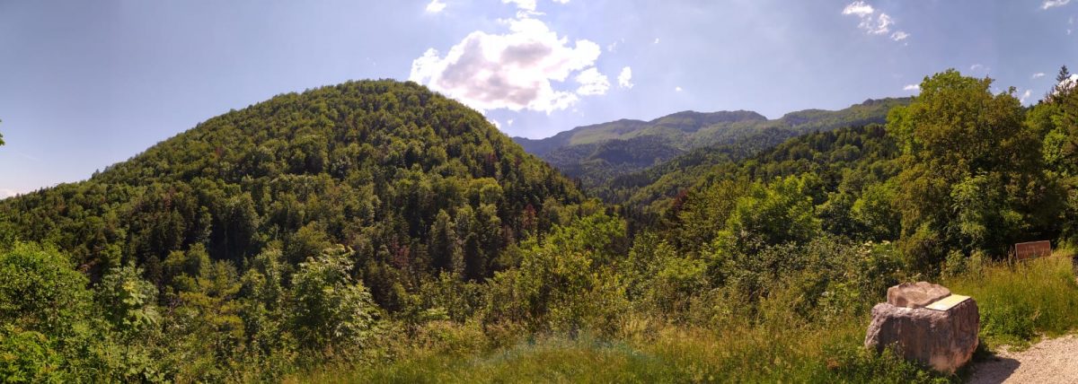 L'Ail des Ours au Creux de l'envers - Pays de Gex et Monts Jura