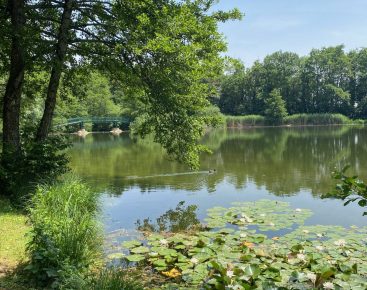 À la recherche de la fraîcheur dans le Pays de Gex