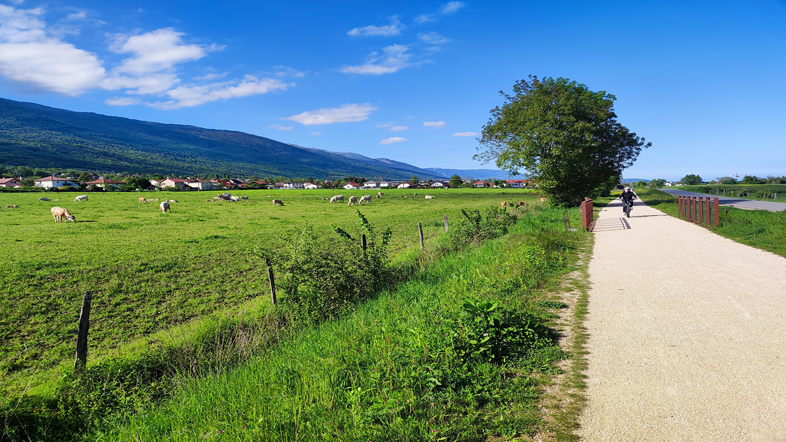 Cyclo et voies vertes