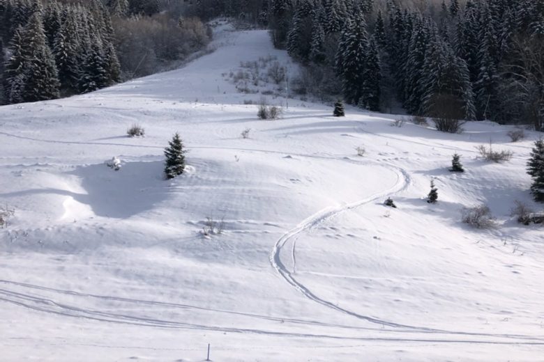 Vue sur les pistes du balcon