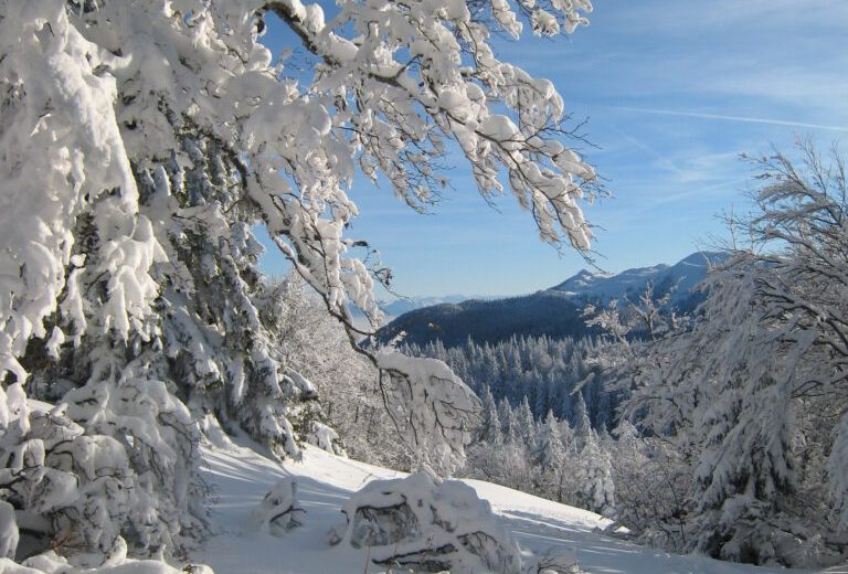 Randonnée chalet de la Poutouille