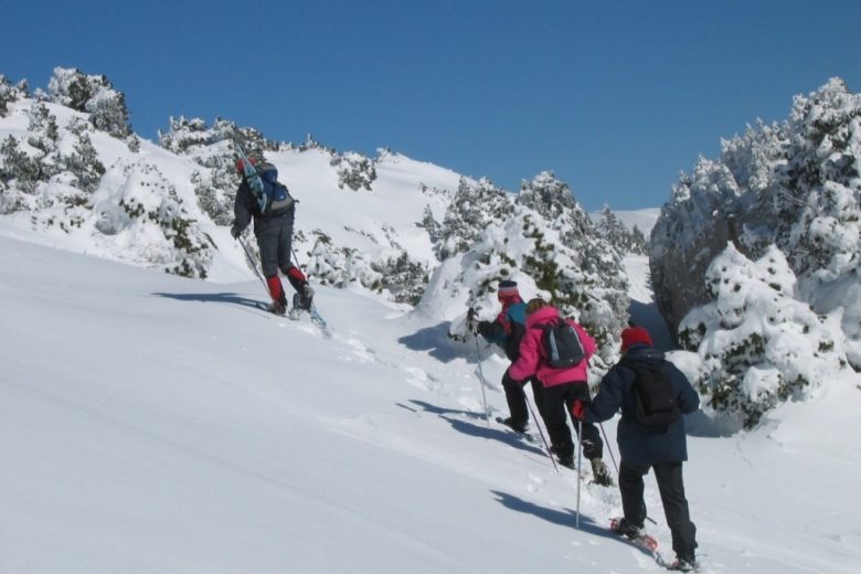 Vers le Crêt de la Neige avec Francis