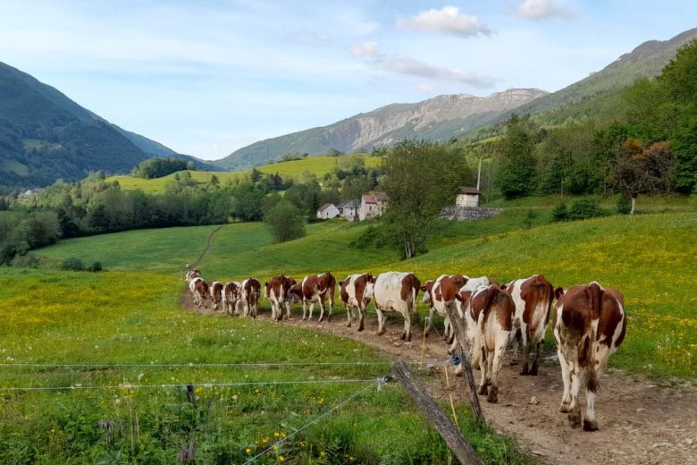 GAEC du Ban du Char