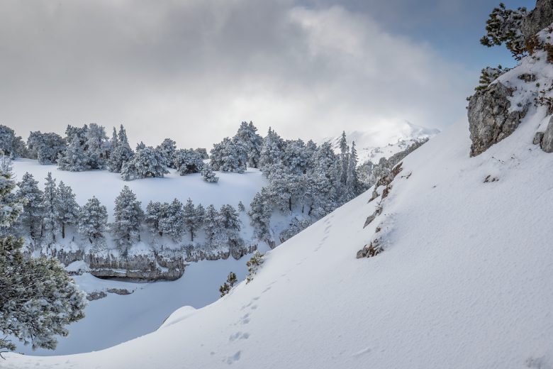 Randonné raquettes Crêt de la Neige