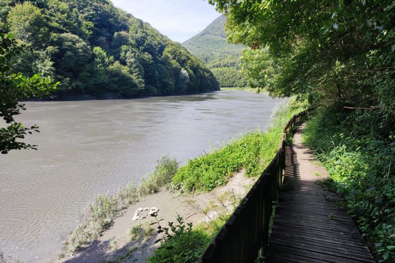 Vue sur le Rhône