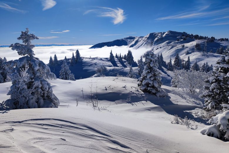 Au sommet du Petit Mont Rond