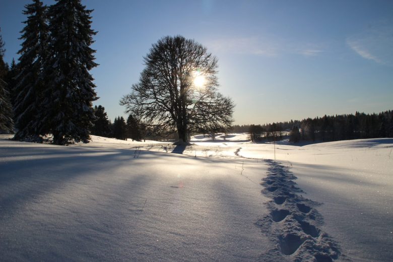 Plateau de la Vattay