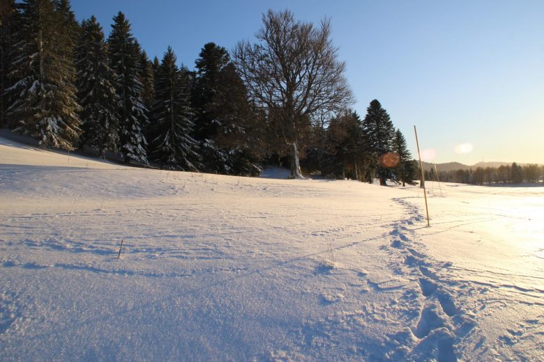 Plateau de la Vattay