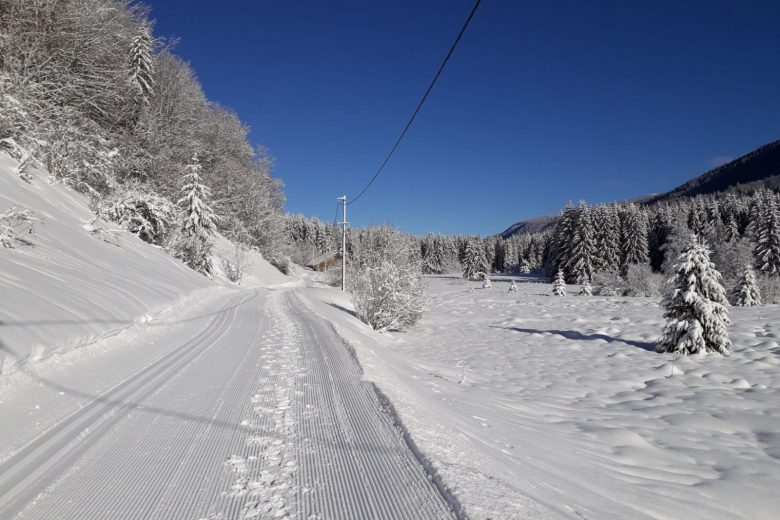 Piste damée