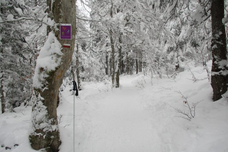 Sentier raquettes de la Faucille au Turet_Gex