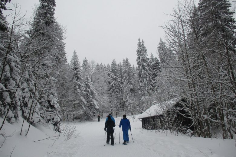 Sentier raquettes de la Faucille au Turet_Gex