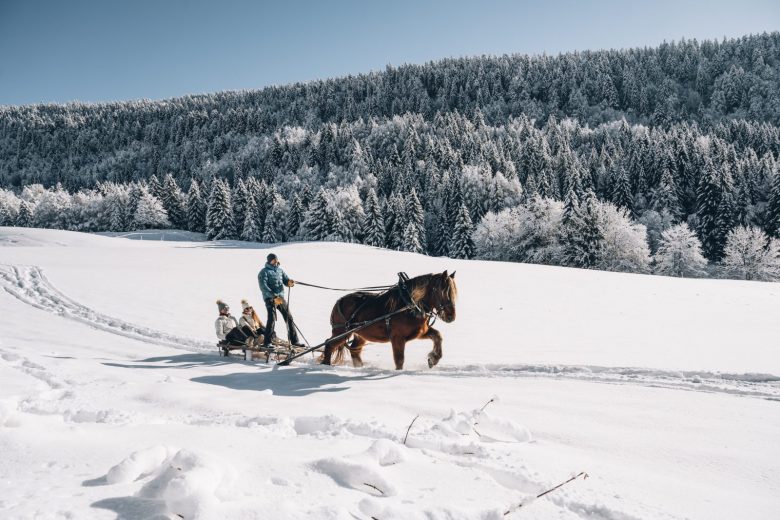 Luge attelée / ou Balade en calèche_Mijoux