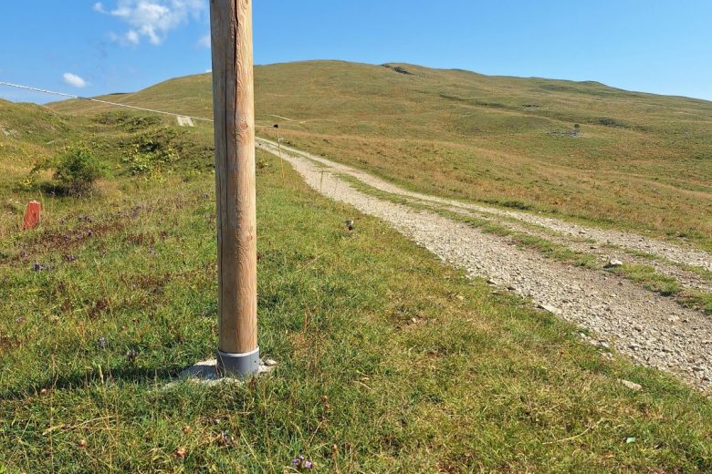 Randonnée itinérante : sur le toit des montagnes du Jura_Lélex