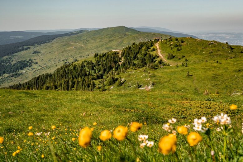 Randonnée itinérante : De la Valserine enchanteresse au sommet du Jura_Lélex