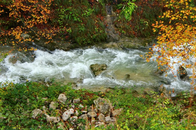 Randonnée itinérante : De la Valserine enchanteresse au sommet du Jura_Lélex