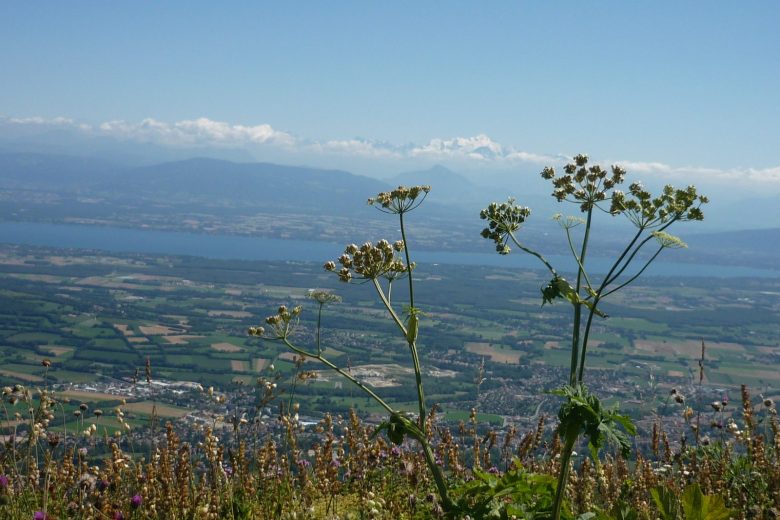 Itinérant 2 jours